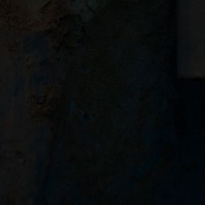 Meet your Posher, Jeanine